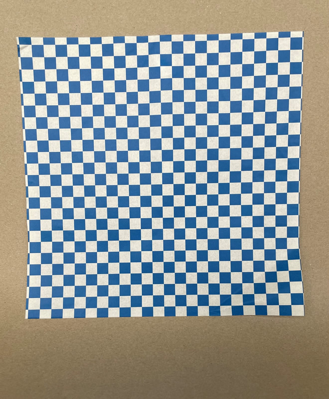 Blue checkered liner 2023.jpg